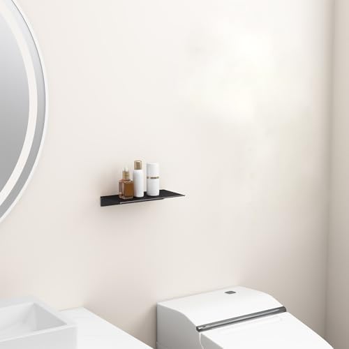 Danpoo 8 Black Floating Shelf for Wall Storage