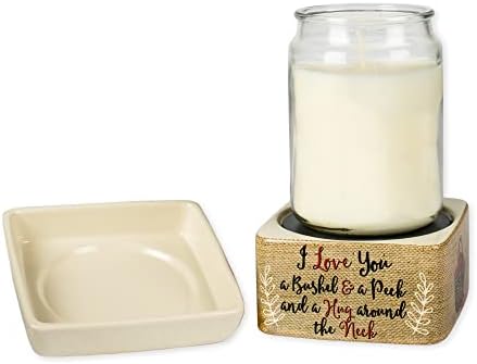 Elanze Designs I Love You Apples Jar Candle Wax Tart Warmer