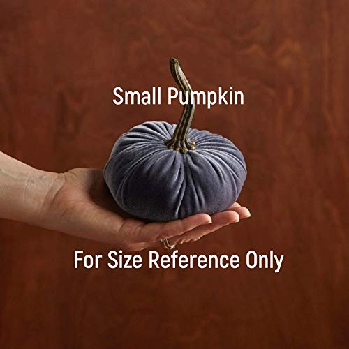 Your Hearts Content Set of 4 Velvet Pumpkins