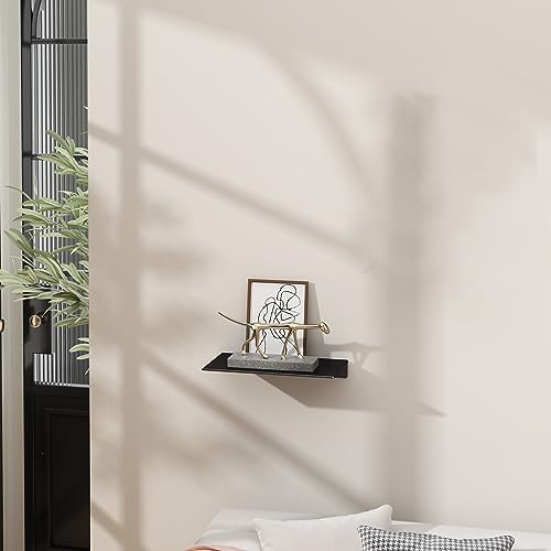Danpoo 8 Black Floating Shelf for Wall Storage