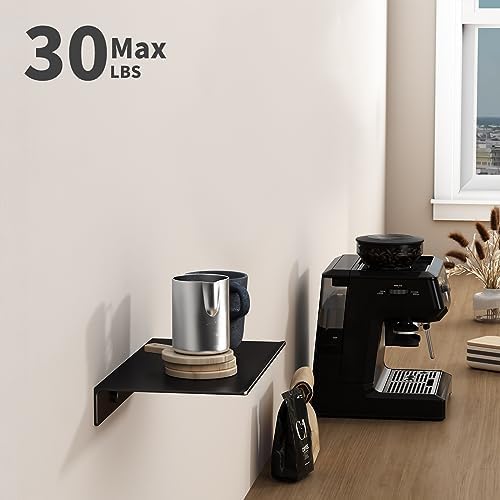 Danpoo 8 Black Floating Shelf for Wall Storage