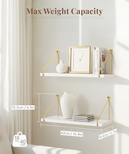 Afuly Floating Shelves Set of 2 Metallic Gold White