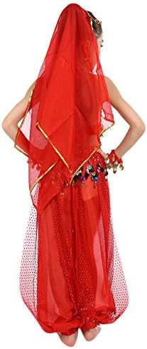 Girls Belly Dance Outfit Set with Chiffon Top and Pants