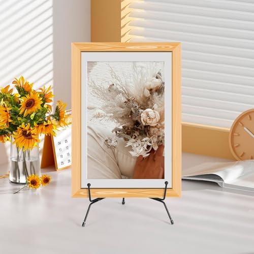 2 Pack Anti-Slip Plate Stands for Display