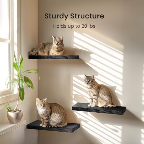 AMADA Floating Shelves Black Set of 3