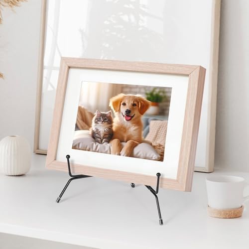 2 Pack Anti-Slip Plate Stands for Display