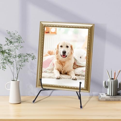 2 Pack Anti-Slip Plate Stands for Display 1