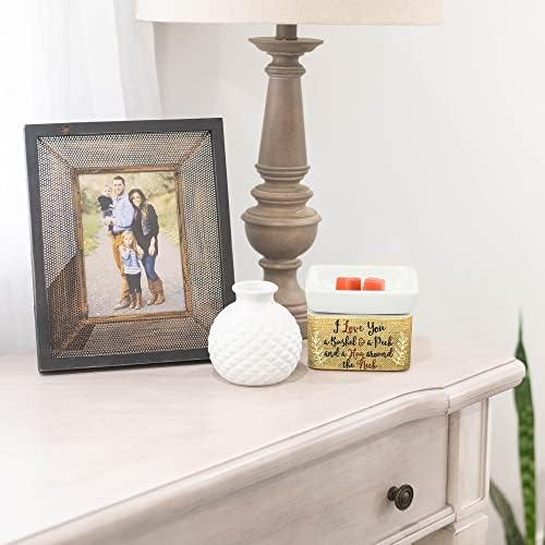 Elanze Designs I Love You Apples Jar Candle Wax Tart Warmer