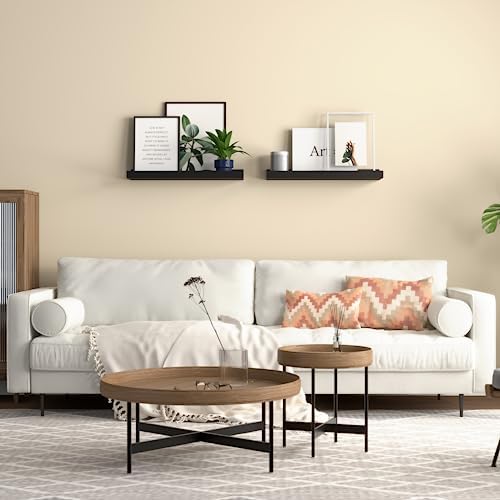 Boswillon Floating Shelves Set of 2 Modern Black Wall Shelves with Lip 1