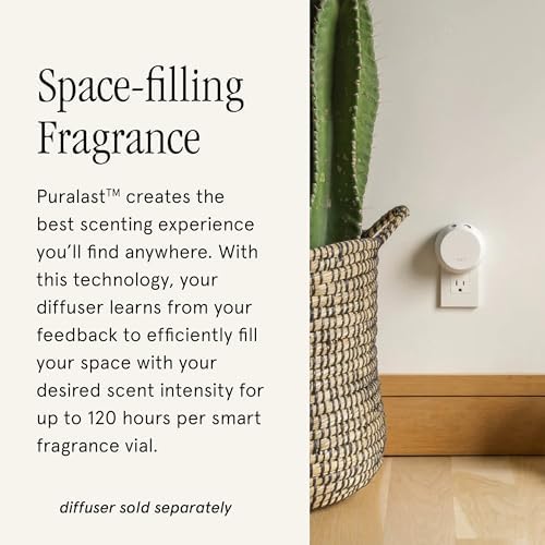 Pura Brooklyn Candle Studio Home Fragrance Refill - 2 Pack 1