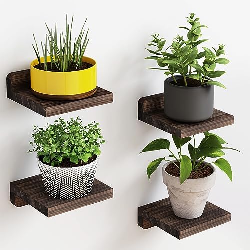 Fixwal Floating Wall Shelves Set of 4 5x5 Inches Dark Carbonized Black