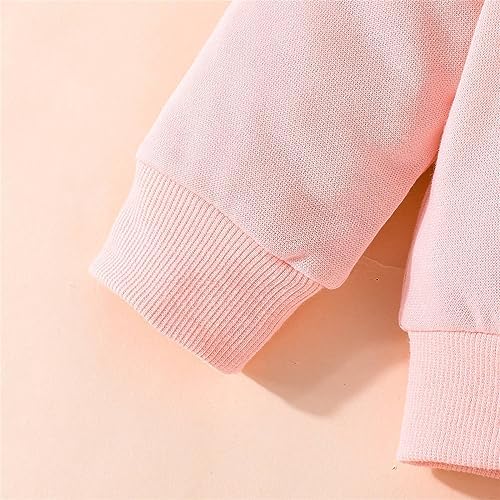 Cute Toddler Girl Hoodie Pants Set
