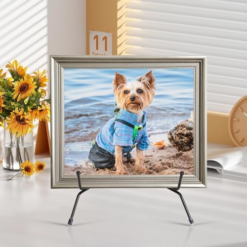 2 Pack Anti-Slip Plate Stands for Display 1