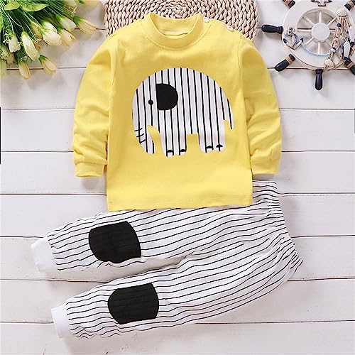 Toddler Baby Boys Girls 2-Piece Outfits Soft Tops and Pants Sets 1