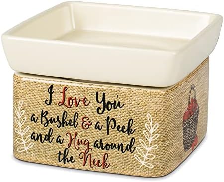 Elanze Designs I Love You Apples Jar Candle Wax Tart Warmer