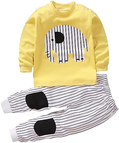 Toddler Baby Boys Girls 2-Piece Outfits Soft Tops and Pants Sets 1