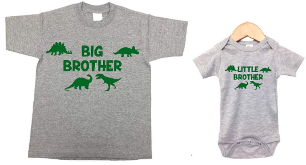Big Little Brother Dinosaur Shirt Set for Toddler Boys 1