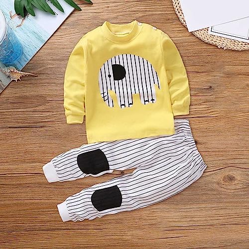 Toddler Baby Boys Girls 2-Piece Outfits Soft Tops and Pants Sets 1