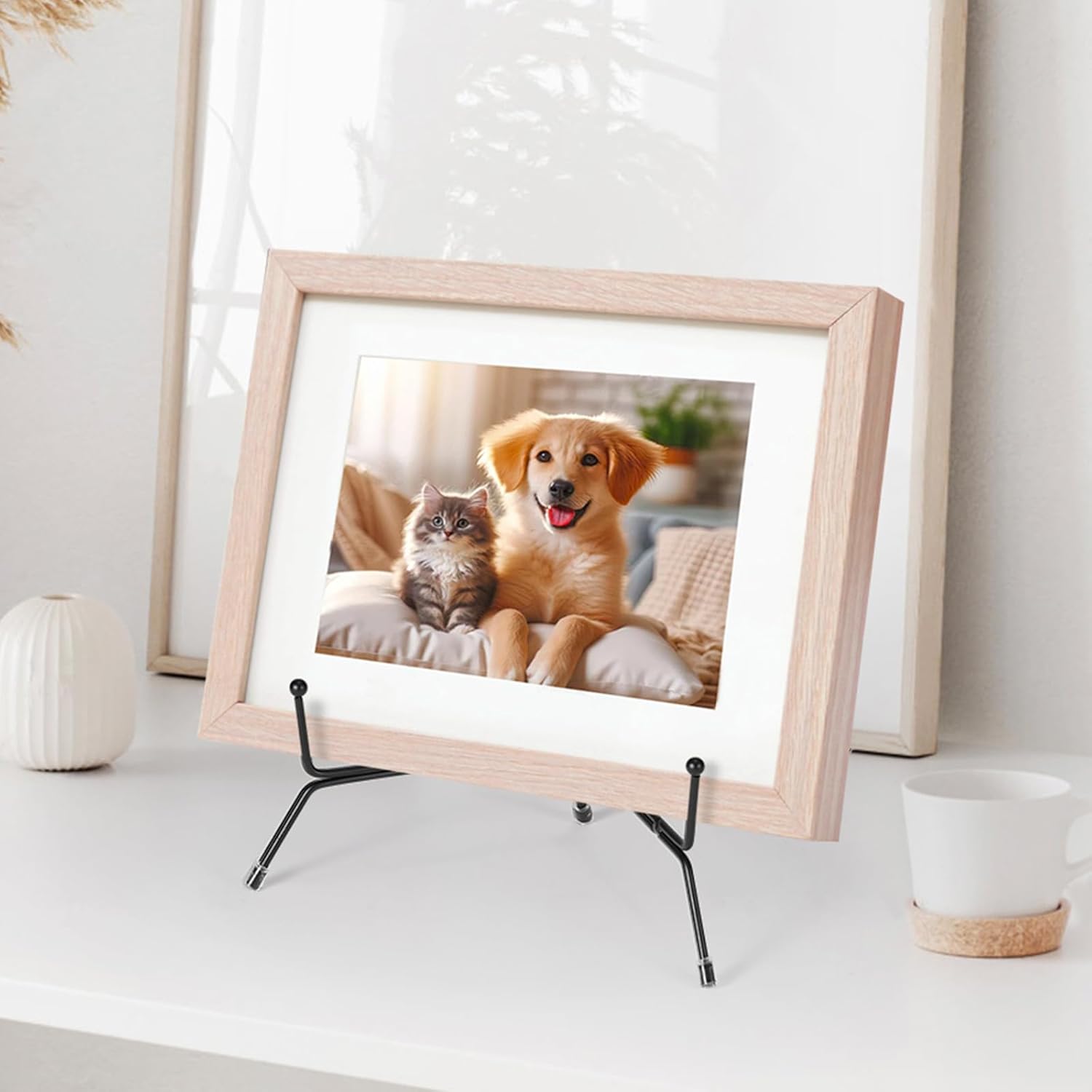2 Pack Anti-Slip Plate Stands for Display