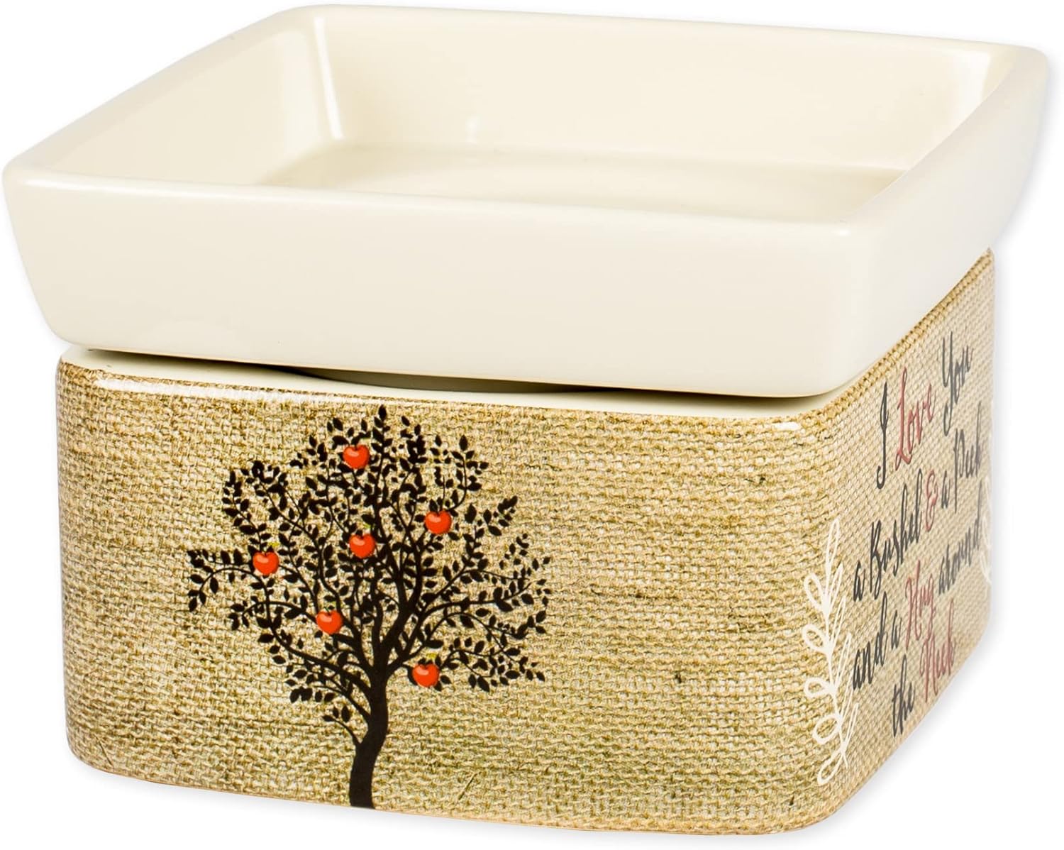 Elanze Designs I Love You Apples Jar Candle Wax Tart Warmer