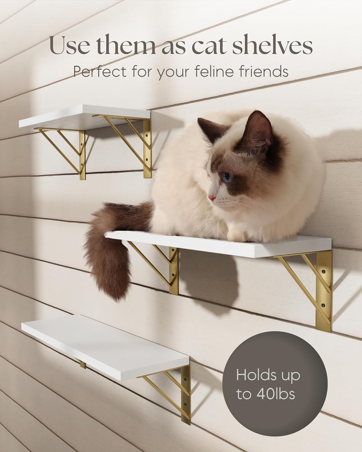 BAYKA Floating Wall Shelves Set of 3 White and Gold