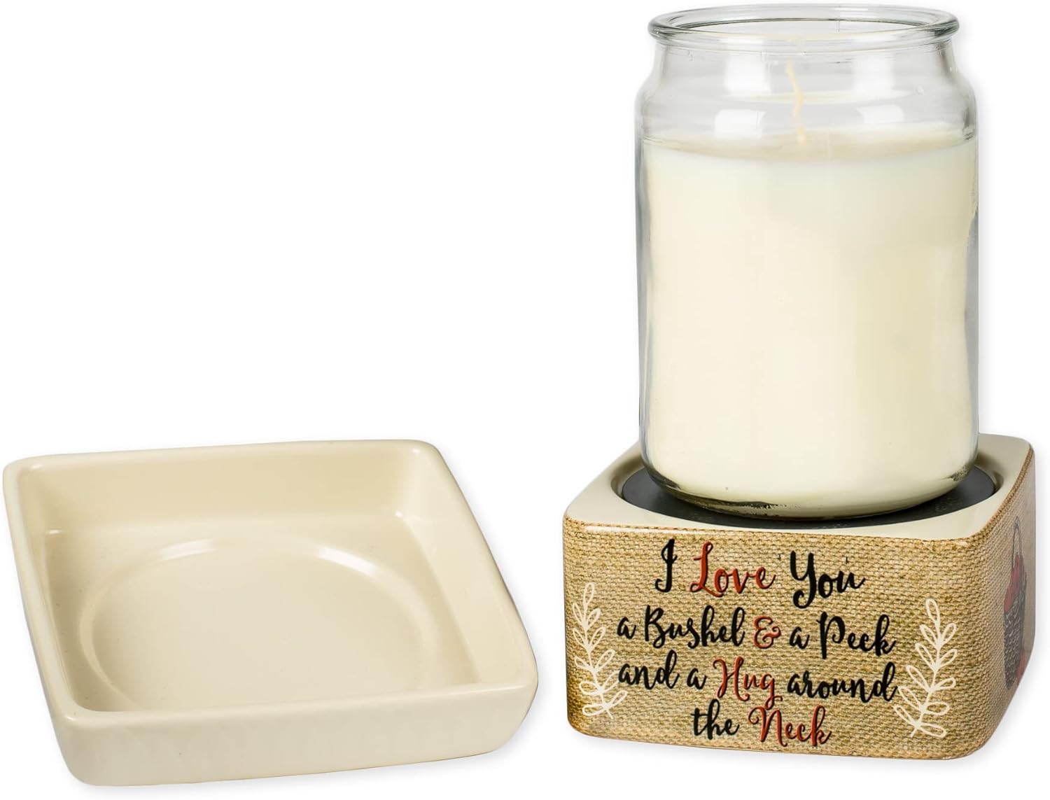 Elanze Designs I Love You Apples Jar Candle Wax Tart Warmer