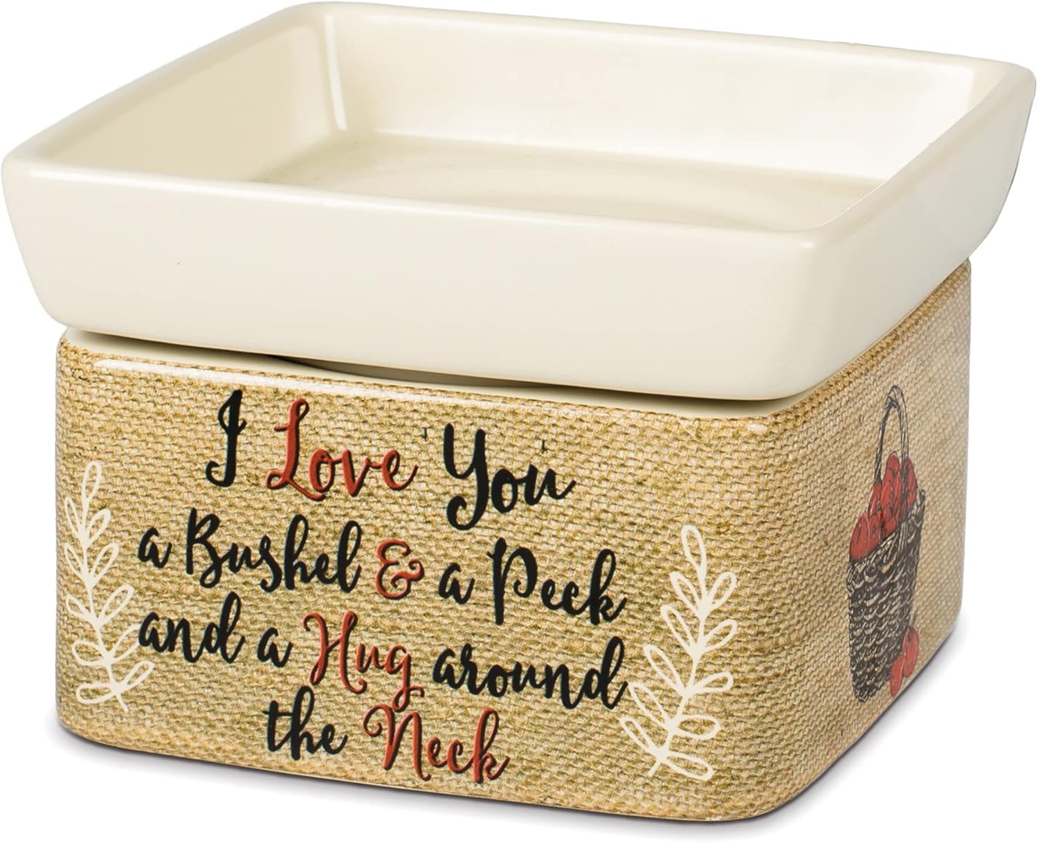 Elanze Designs I Love You Apples Jar Candle Wax Tart Warmer