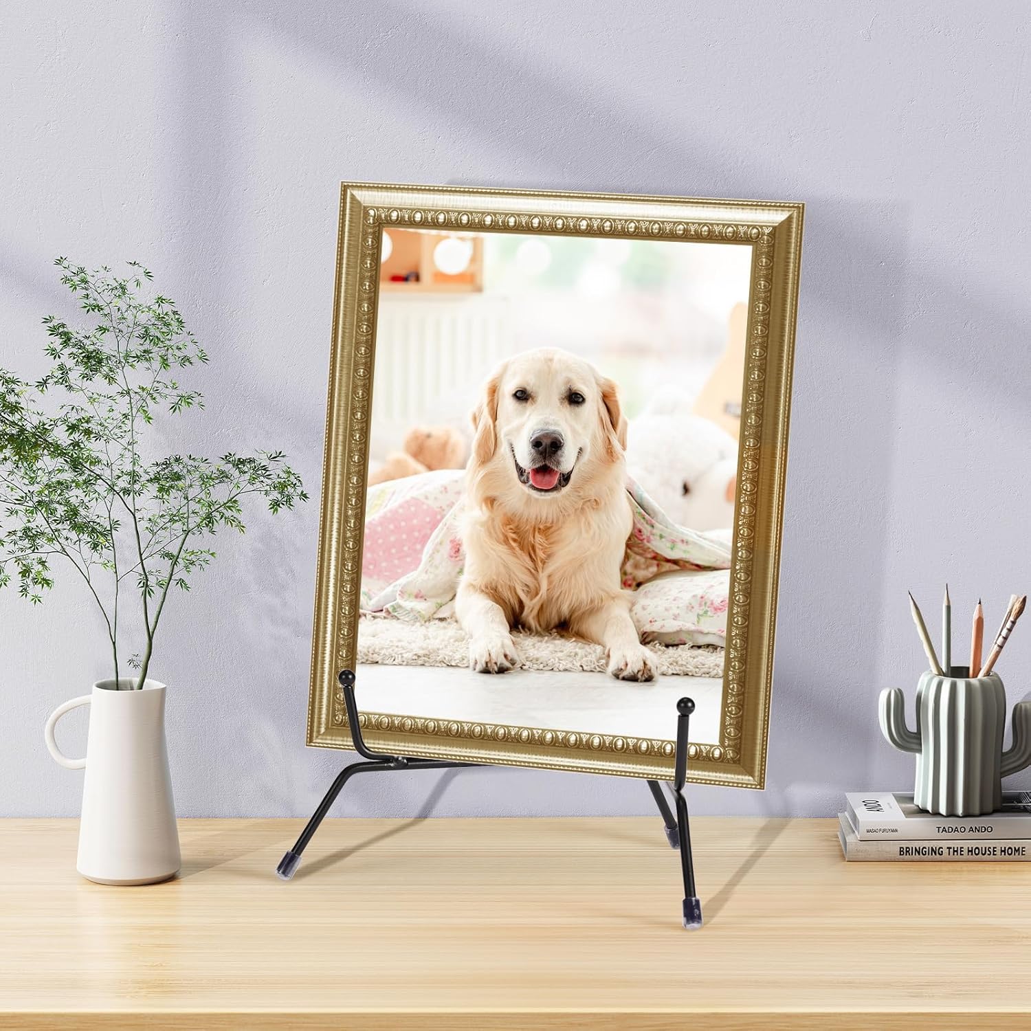 2 Pack Anti-Slip Plate Stands for Display 1
