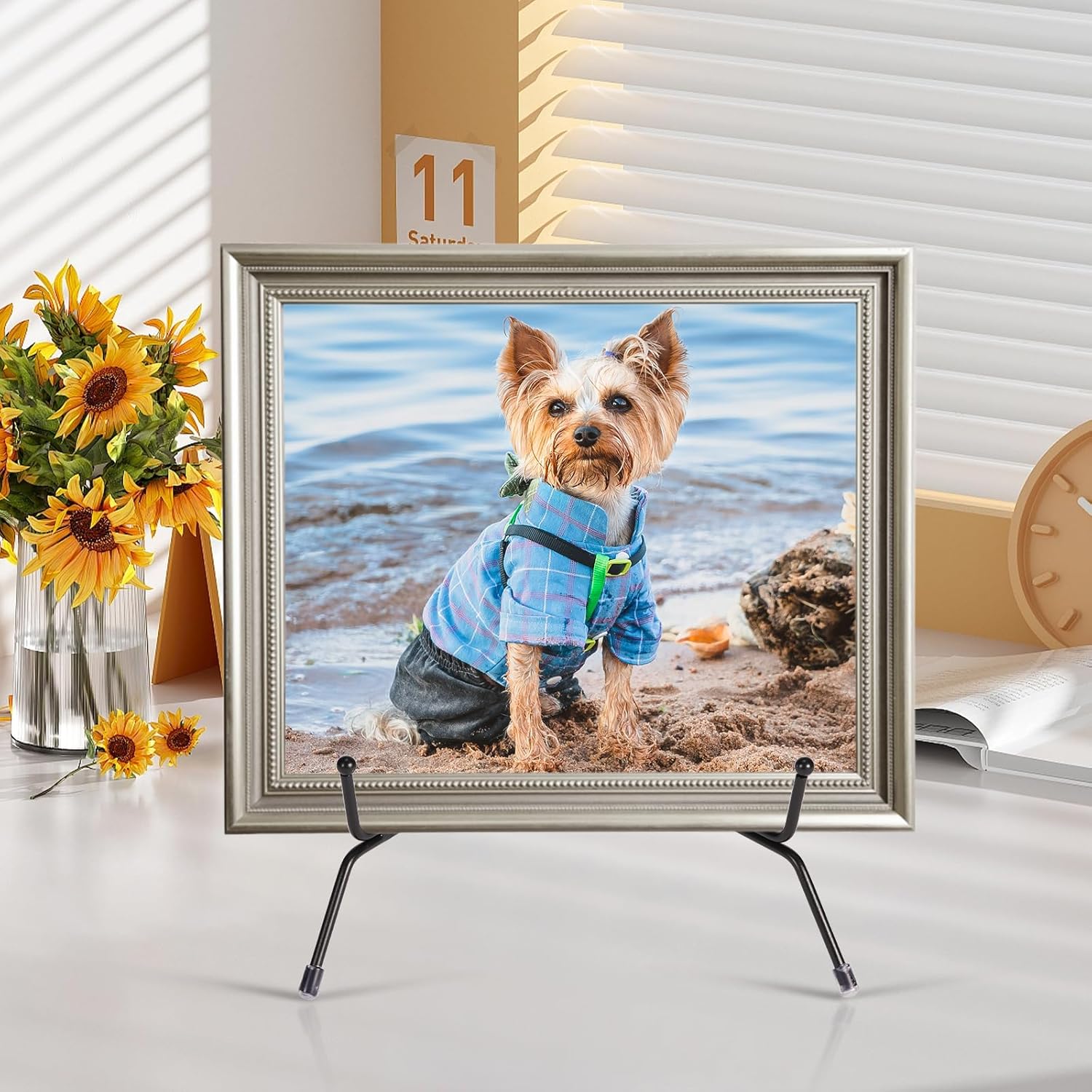 2 Pack Anti-Slip Plate Stands for Display 1